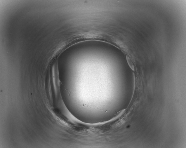 X0000067890201200604171346