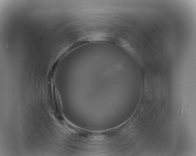 X0000067890202200604171346