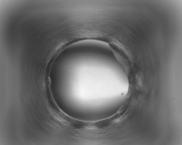 X0000067890203200604171346