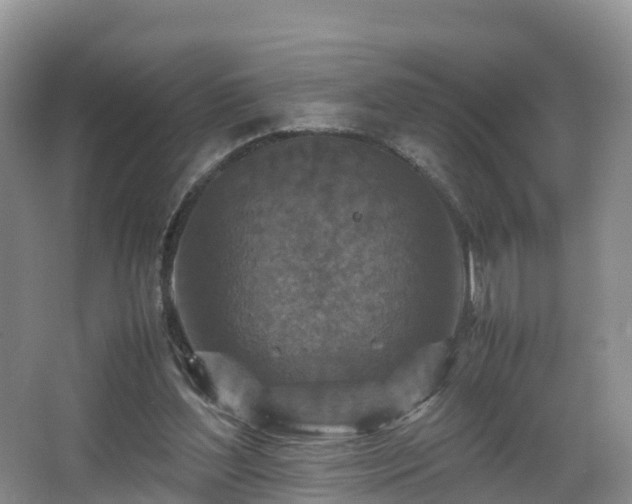 X0000067890204200604171346