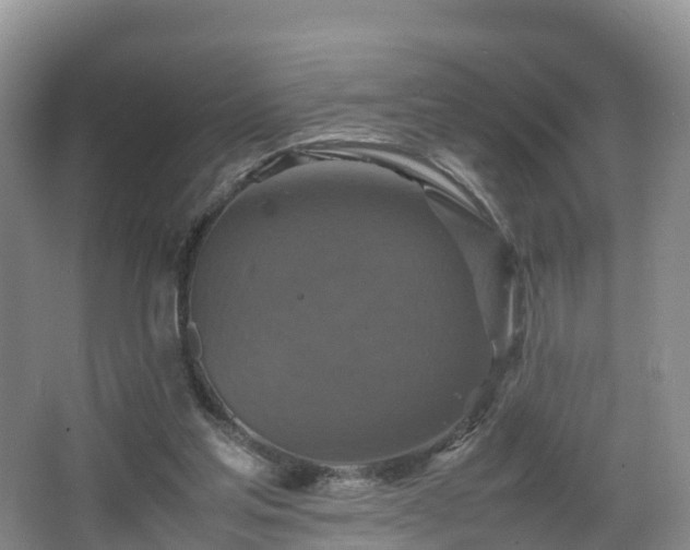 X0000067890205200604171346