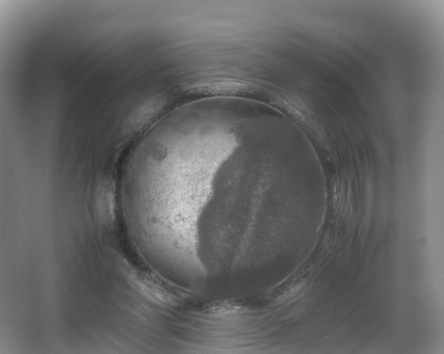 X0000067890206200604171346