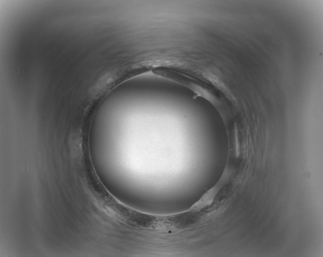 X0000067890207200604171346