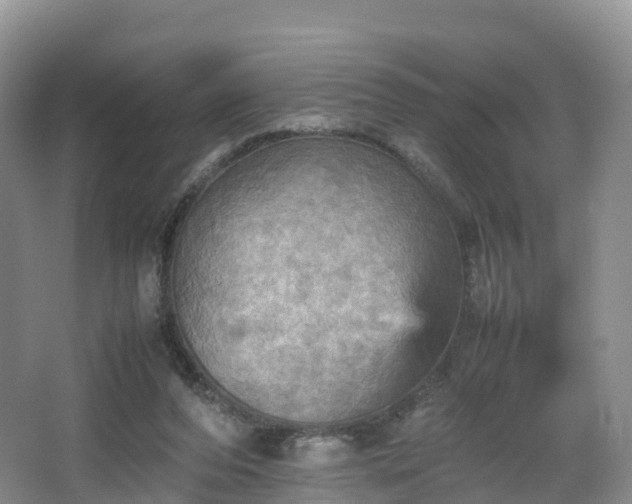 X0000067890208200604171345