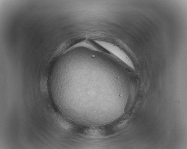 X0000067890209200604171345