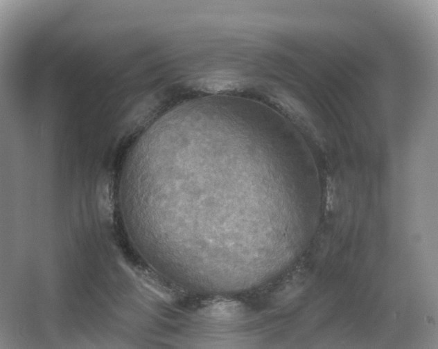 X0000067890210200604171345