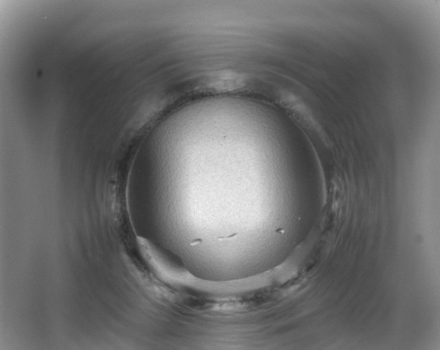 X0000067890212200604171345