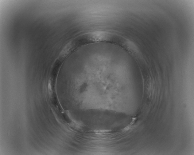 X0000067890214200604171345