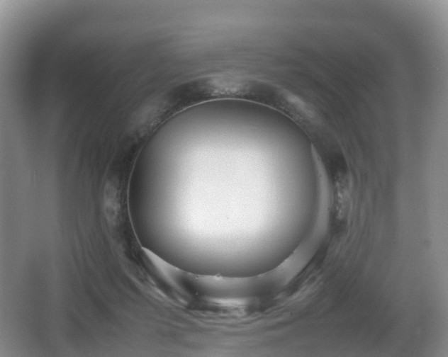 X0000067890215200604171345