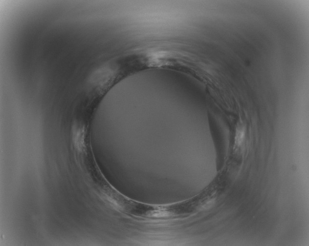 X0000067890219200604171345