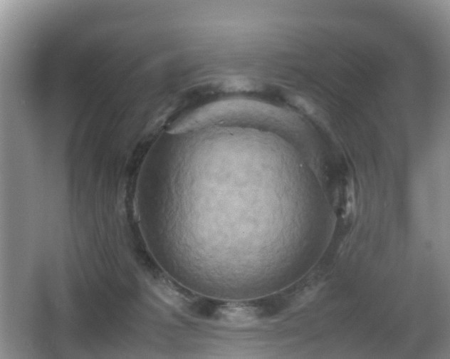 X0000067890221200604171345