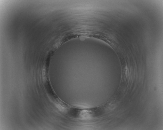 X0000067890222200604171345