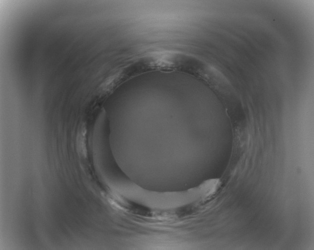 X0000067890223200604171345