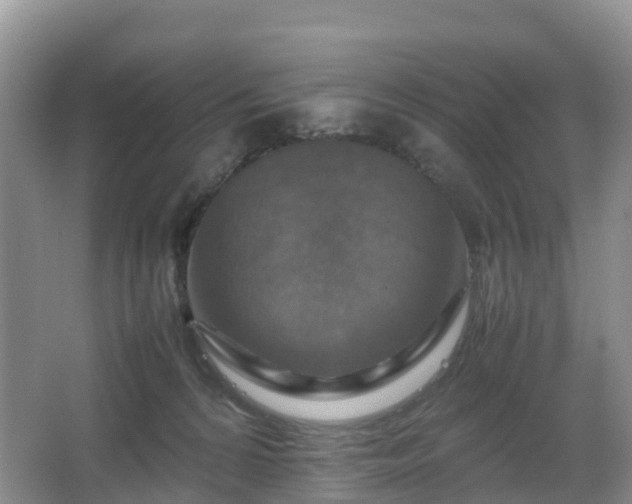 X0000067890224200604171345