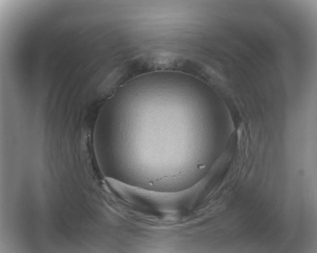 X0000067890225200604171345