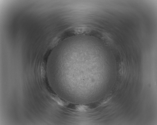 X0000067890226200604171345