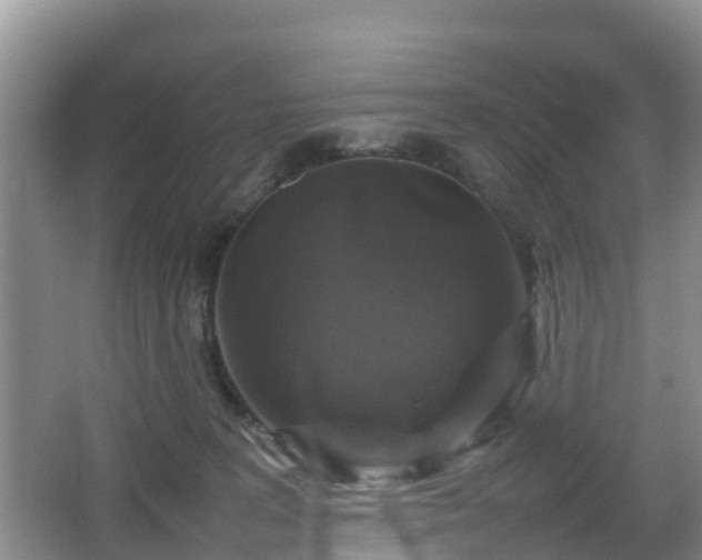 X0000067890227200604171345