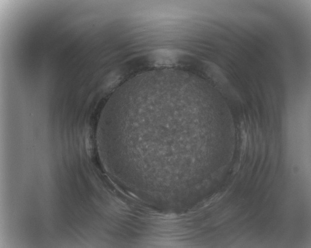 X0000067890228200604171345