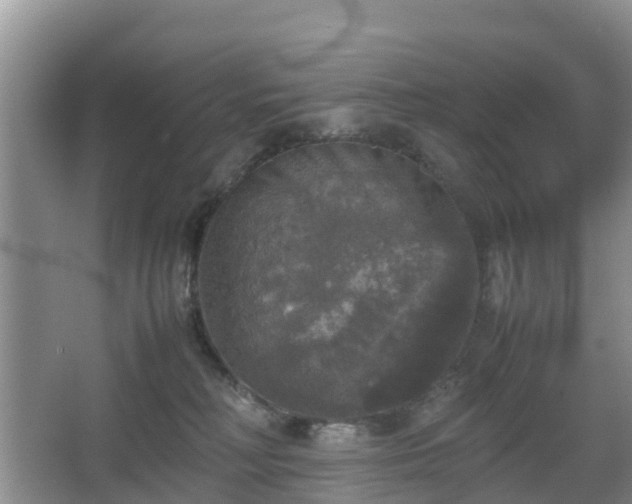 X0000067890230200604171345