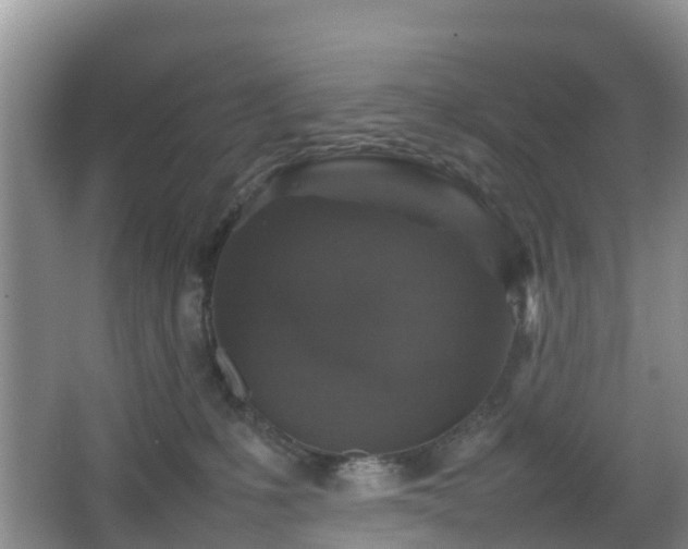 X0000067890231200604171345