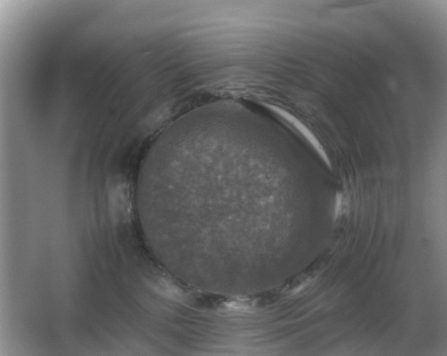 X0000067890232200604171345