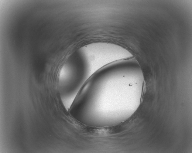 X0000067890233200604171345