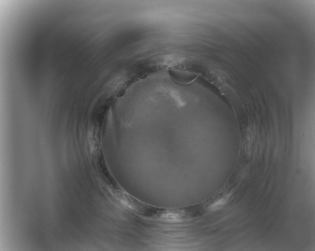 X0000067890236200604171345