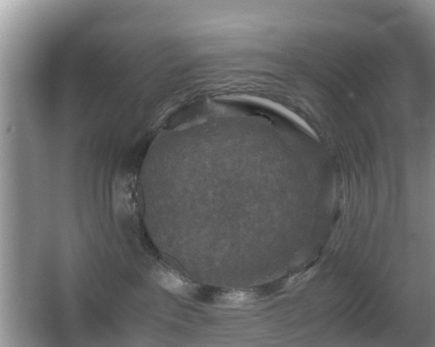 X0000067890237200604171345