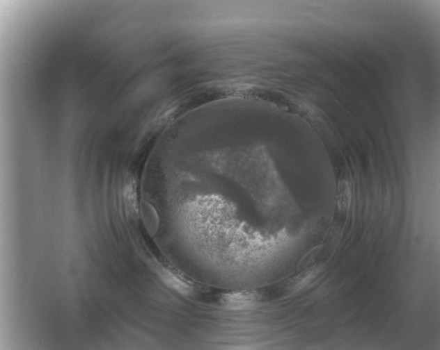 X0000067890238200604171345