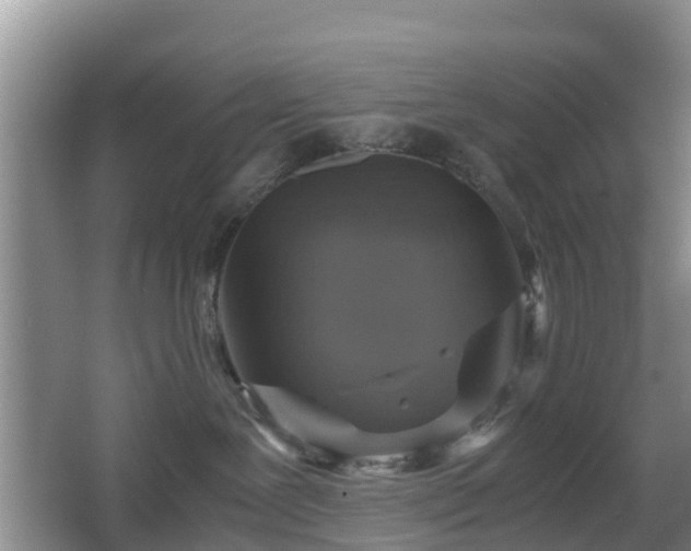 X0000067890239200604171345