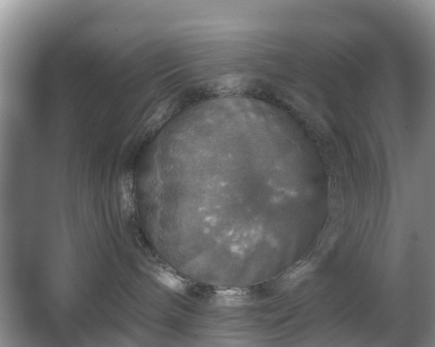 X0000067890240200604171345