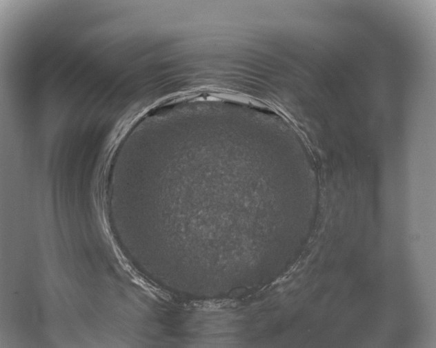 X0000067890241200604171344