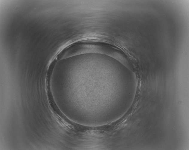 X0000067890244200604171344