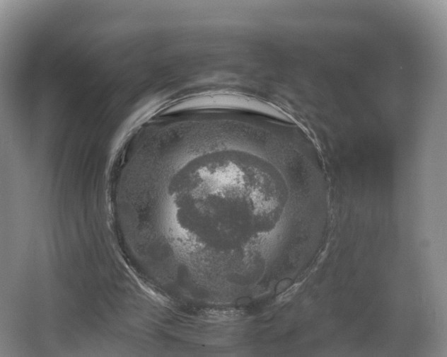 X0000067890245200604171344