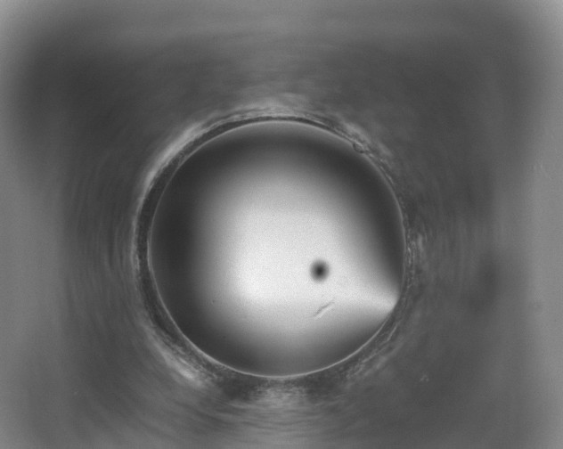 X0000067890248200604171344