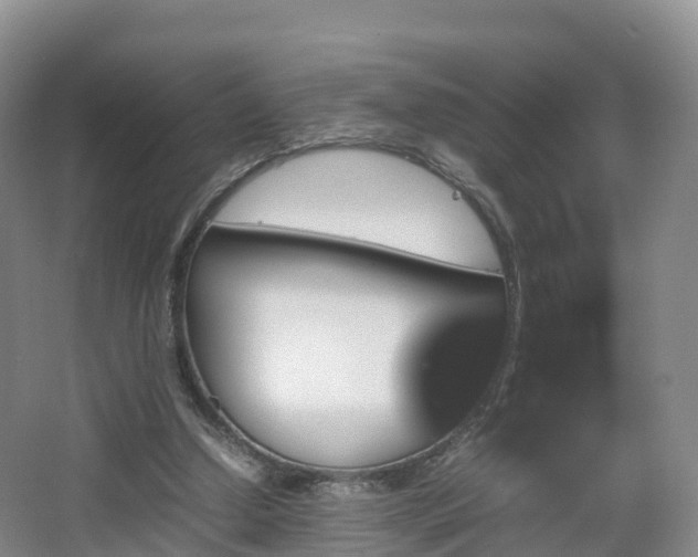 X0000067890250200604171344