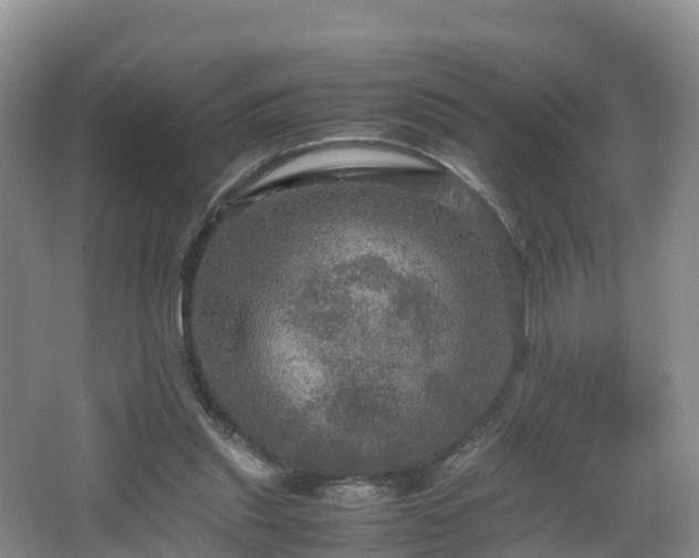 X0000067890253200604171344