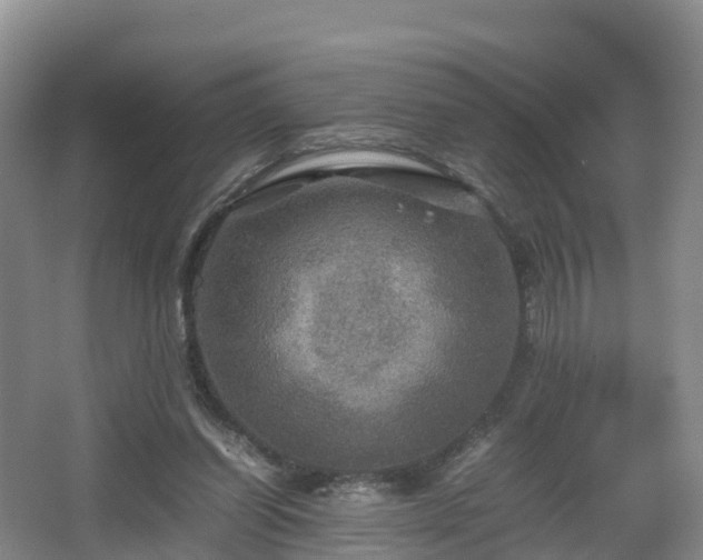 X0000067890254200604171344