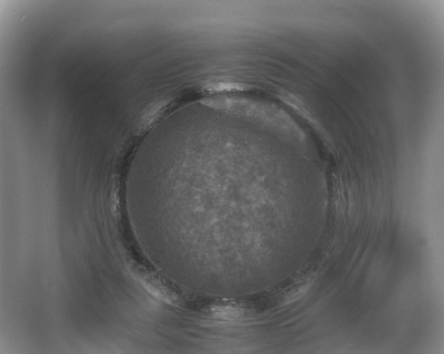 X0000067890259200604171344