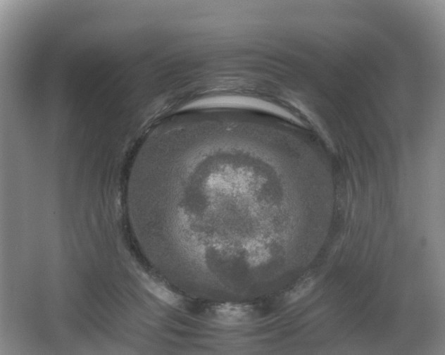 X0000067890261200604171344