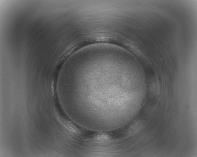 X0000067890262200604171345