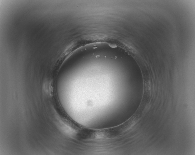 X0000067890264200604171345