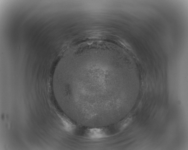 X0000067890265200604171345