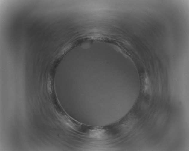 X0000067890266200604171345