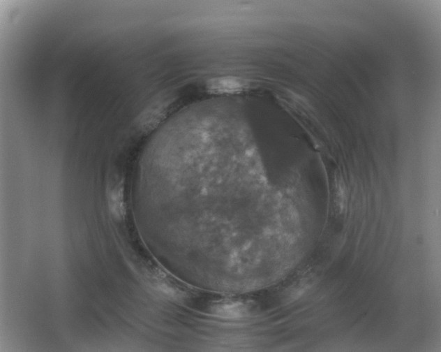 X0000067890267200604171345