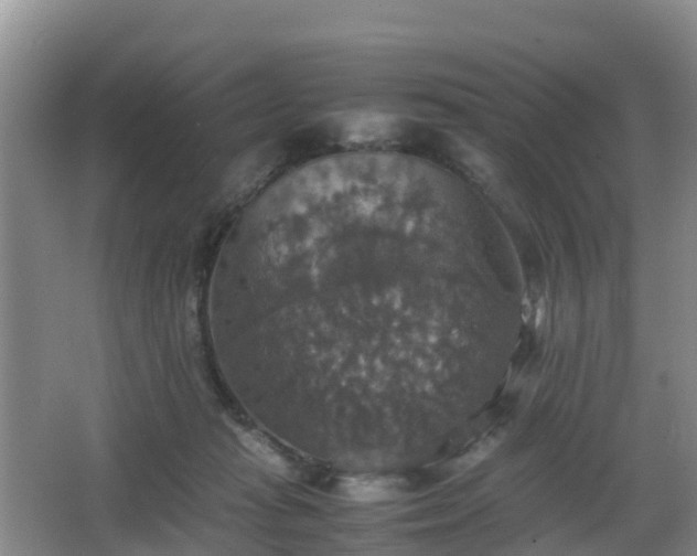 X0000067890269200604171345