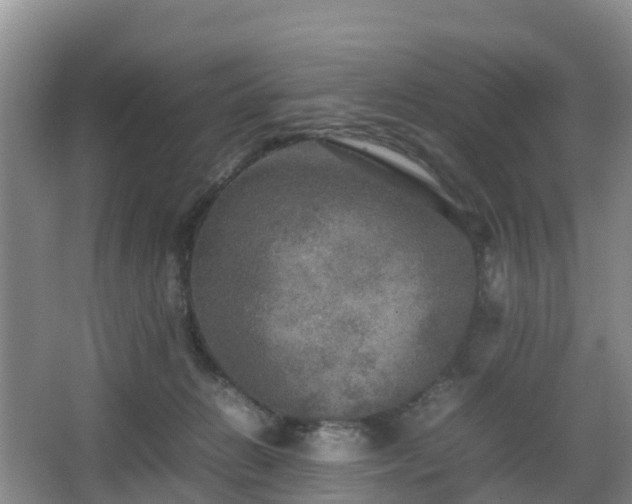 X0000067890270200604171345