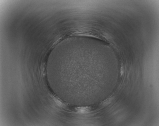 X0000067890273200604171345