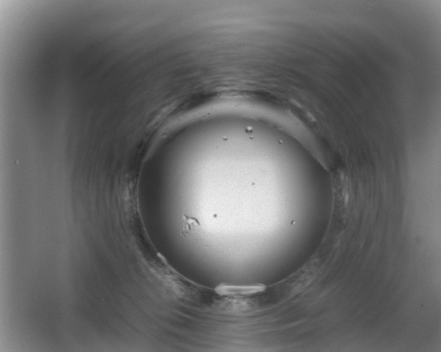 X0000067890276200604171345