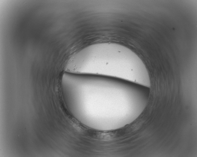 X0000067890277200604171345